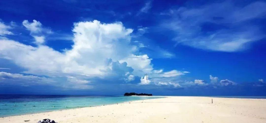 春雨直播app