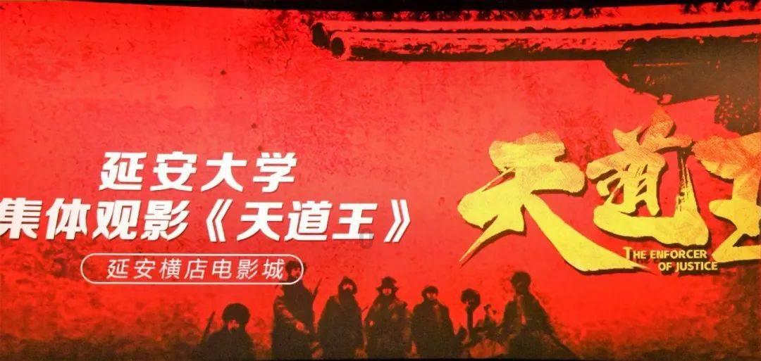 月光影视